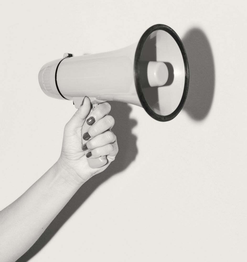 Bull Horn